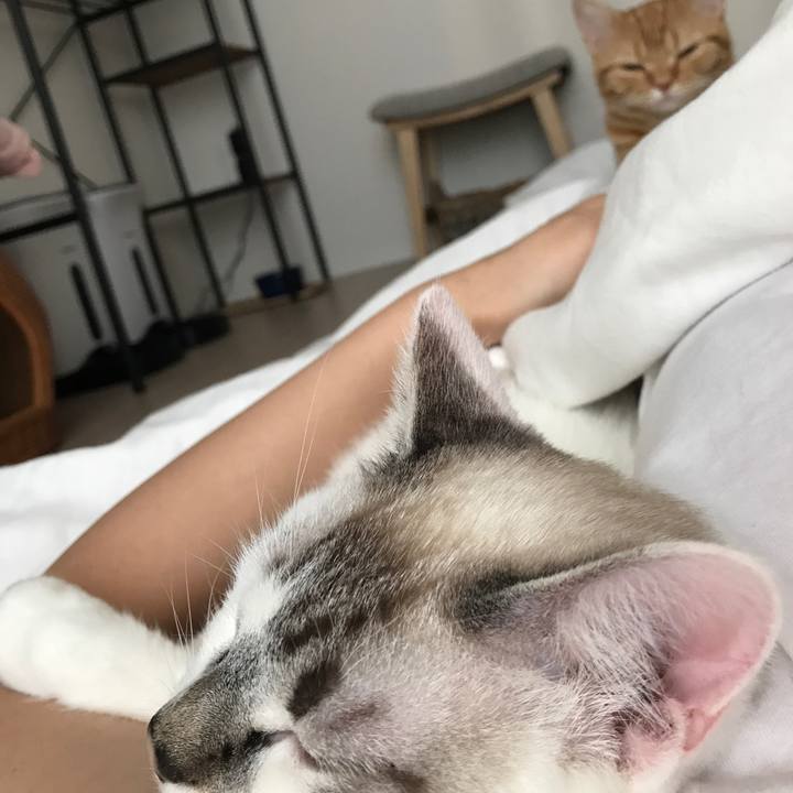 27a126c2 df9d 4f76 b6da 831f0b4ab96f