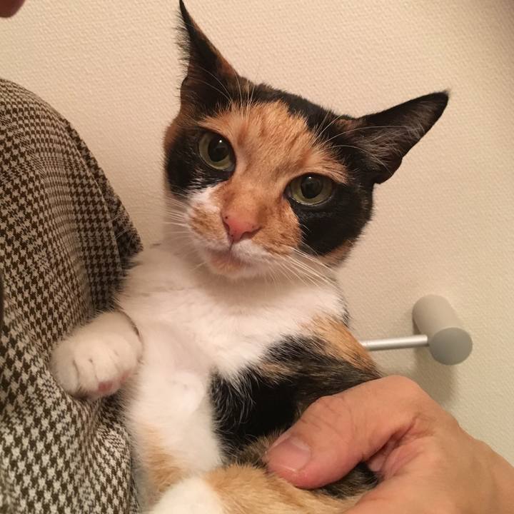 27a12bd2 2538 4a86 9de0 15a2d22bead9