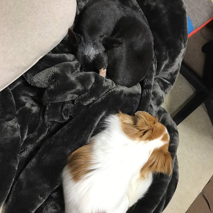 27a1322d 5f3c 4040 a3bd b80af0e06738