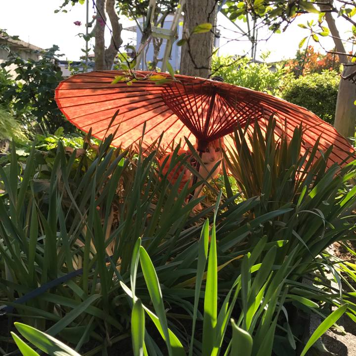 27a32d69 e2bb 4a80 beeb 885839da4a43