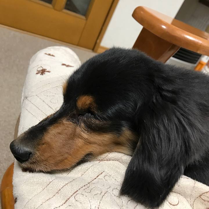 27a32de3 b9da 4c09 a41d ce535feab1f9