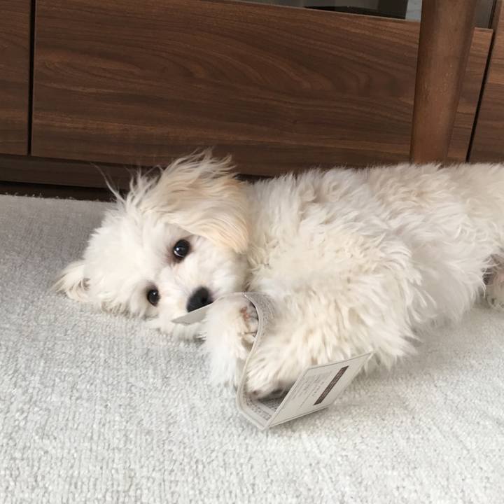 27a34a9e d759 4ff3 a702 ef28654bd53a