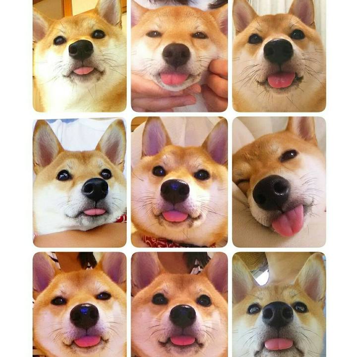 27a427ae 00c1 4a4c b1f8 f2e2adcdef7c