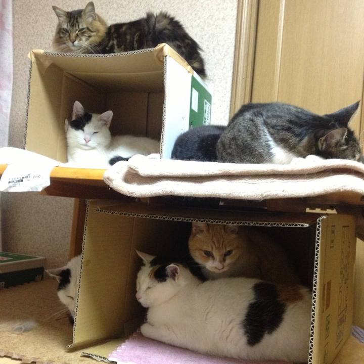 27a42da9 2c8c 40b6 8b92 72862dcef44b