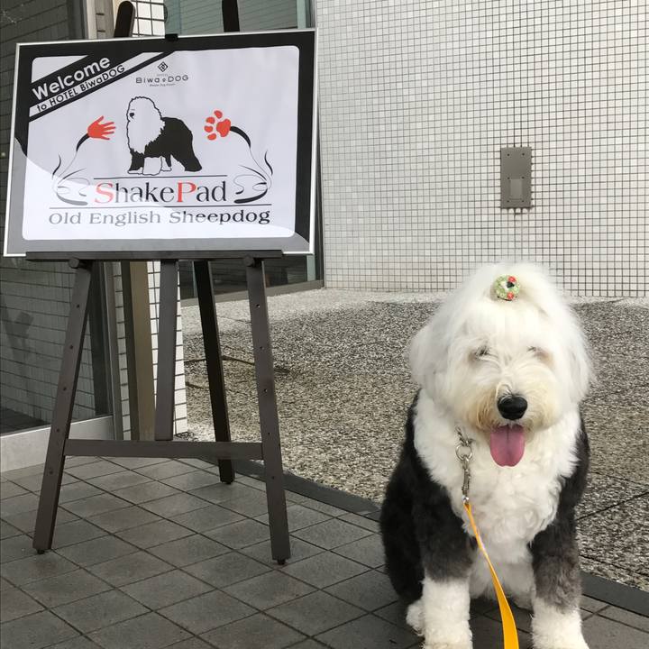 27a44503 a6a4 41d4 b26a 2b11fb73d6bc