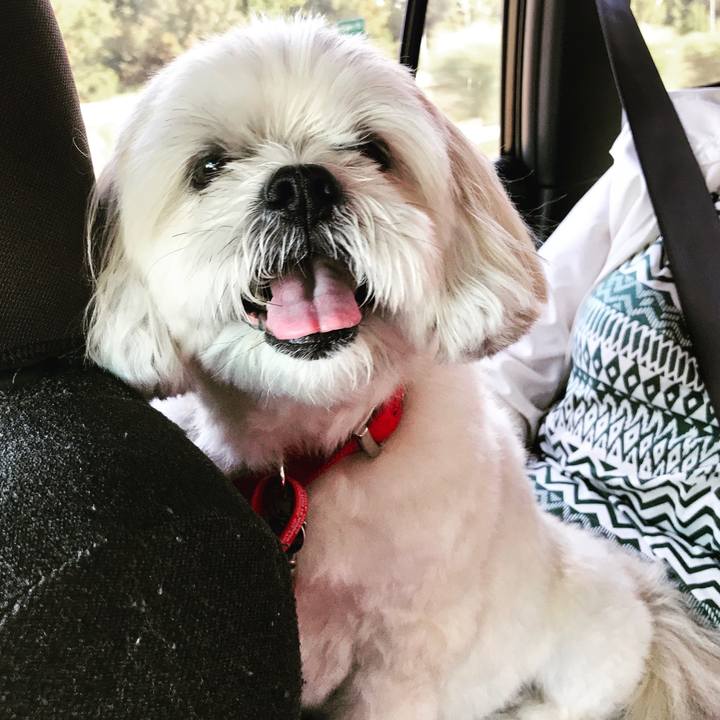 27a48868 bd74 4f4c b29c 96ae046fce3e