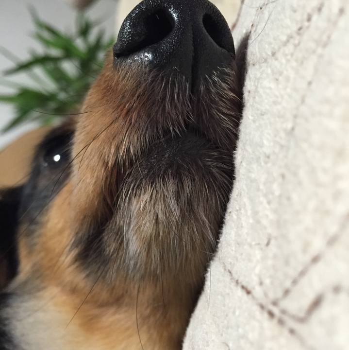 27a538cc 5778 449e 9153 47f4991a47a6