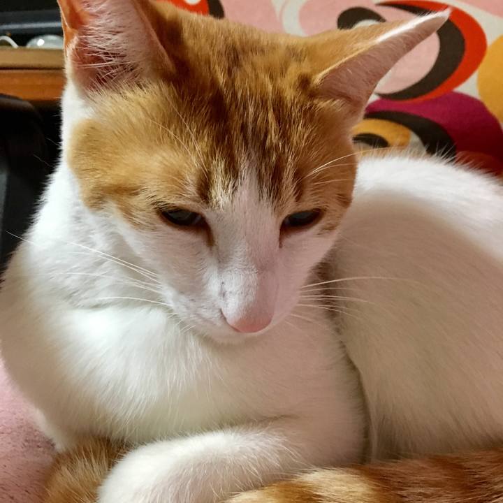 27a64e57 d50d 422c ac75 84bb8565ae55