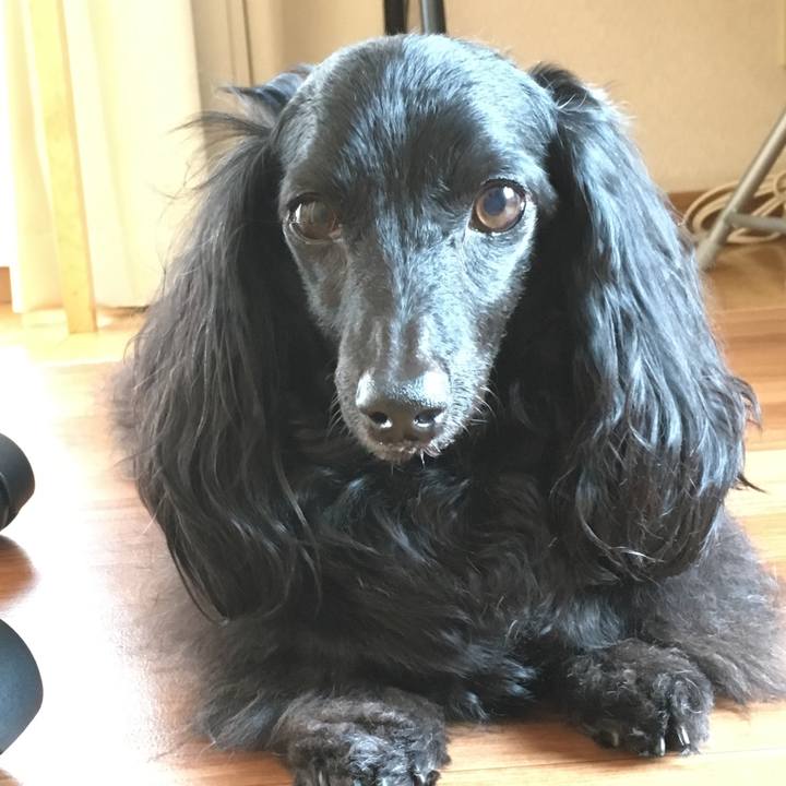 27a673a0 fa72 4bfd a0ea aa774092c1d0