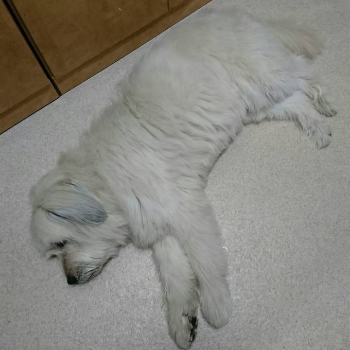 27a68960 ac01 404e 8a72 f2075f862acb