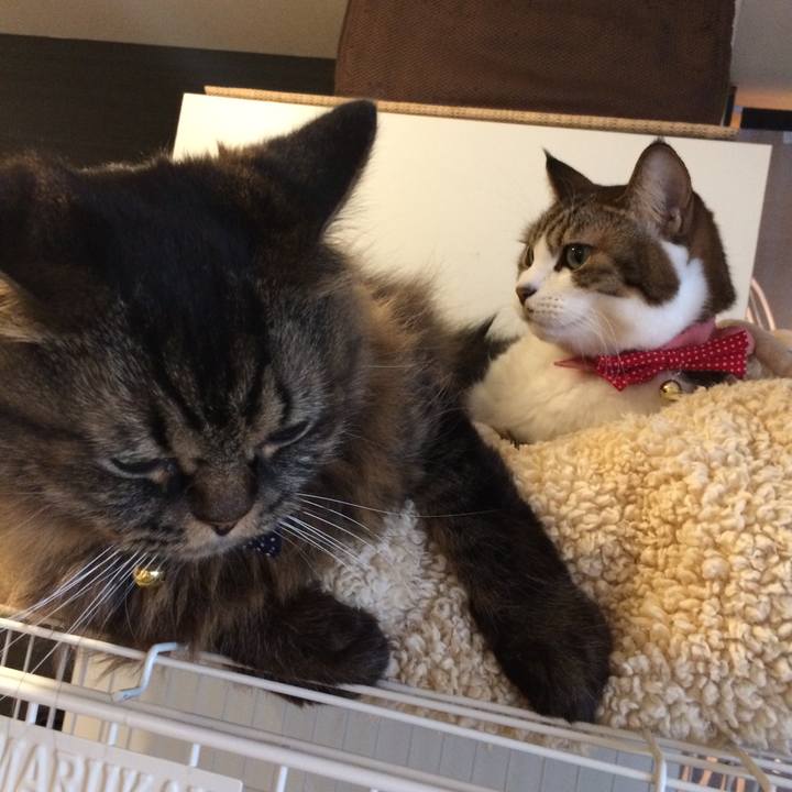 27a6ac61 2c73 4293 af8b 22b4074d1345