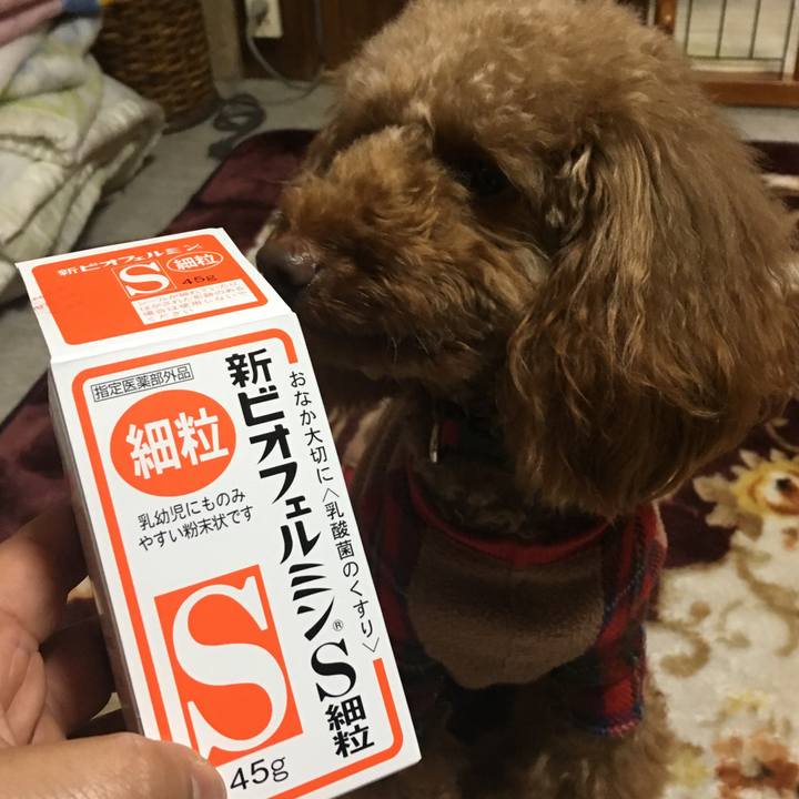 27a6e27b a01e 41c2 a2aa 2cb802cc89d7