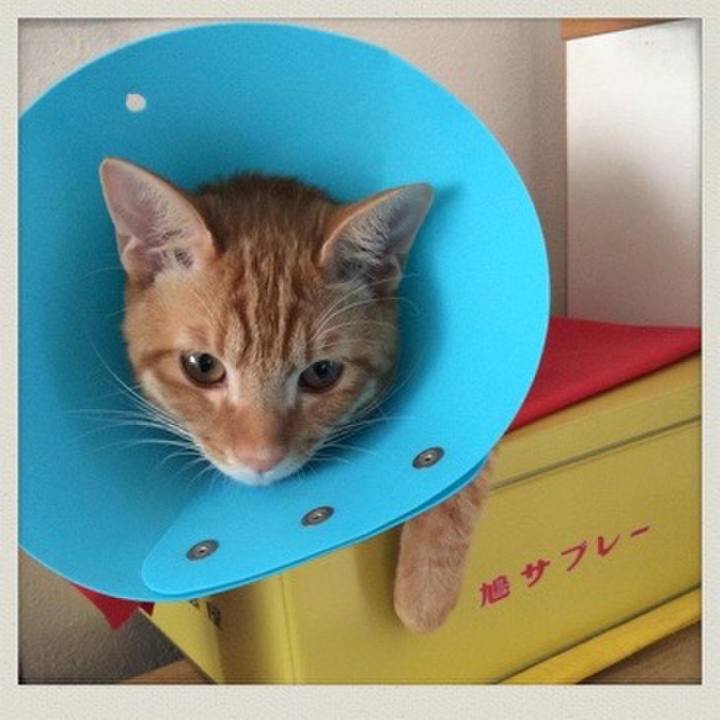 27a6f28e 8224 4afa bc33 f17121aba9f6