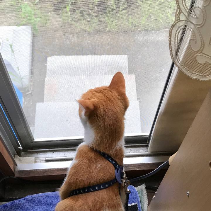 27a6fcf3 d68b 4cfb b7be 19b40eee10ed