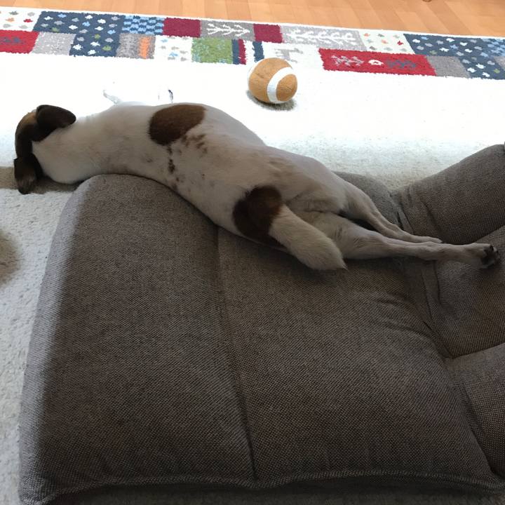 27a7e80a f1bd 4e47 81a0 50adda2ab38d