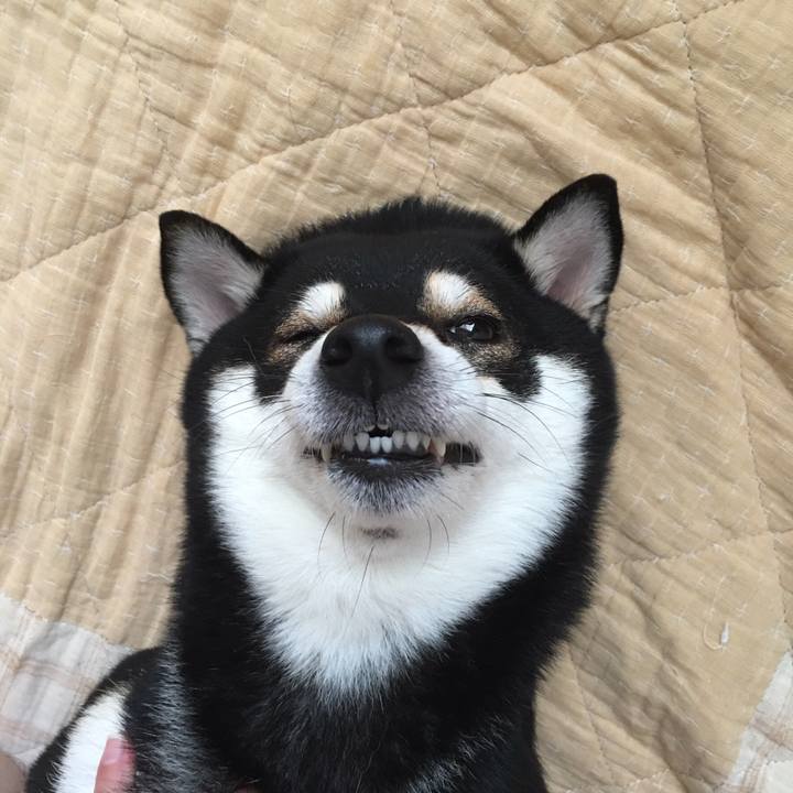 27a87d57 247f 4be8 80b1 ee6777eb3488