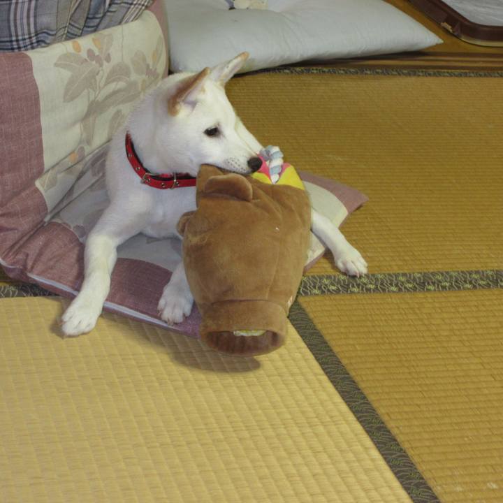 27a96f0f f29a 41c2 8edd 54584e105f94