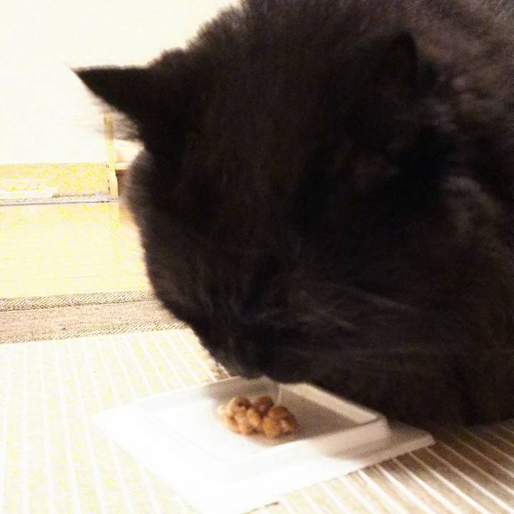 27a98530 6051 464a 98f8 f34e51b3e0a2