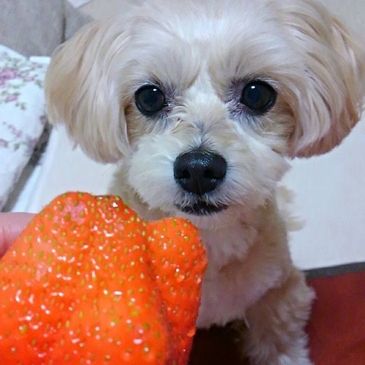 27a9ab7e 6a65 46bc 9069 fe45977374fd