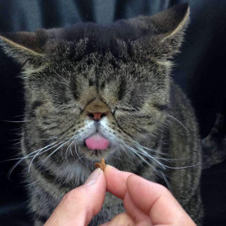 27a9ec44 cc08 4f2d 88f1 3d7ec28cce21