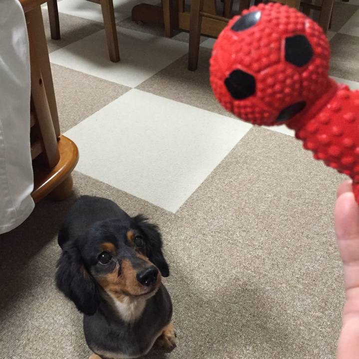 27a9f29e 3527 4bbb b399 de4ac8529aac