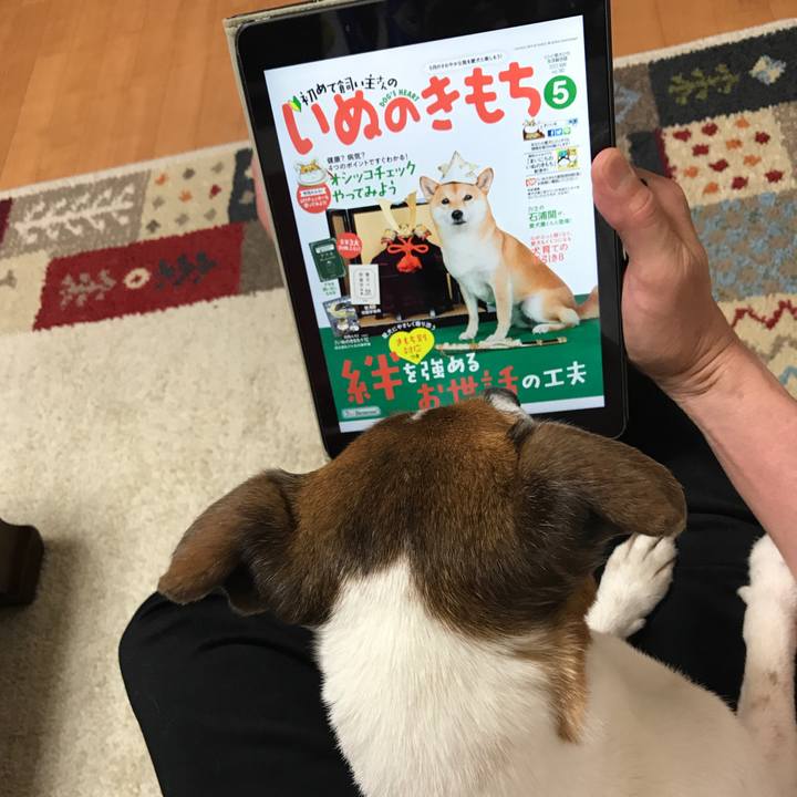 27aa279b 27c9 4ed2 be89 b425691de60c