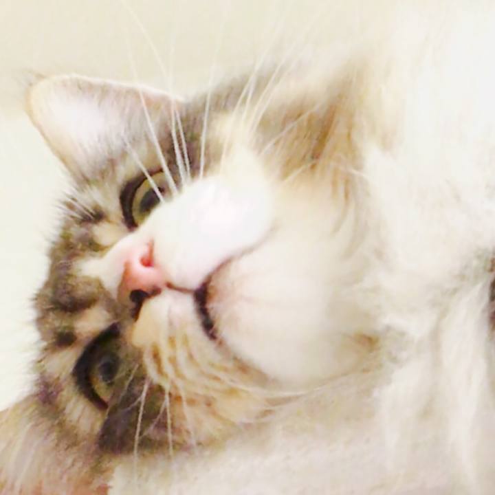 27aa3204 6639 4039 801f 198a7ca8cab5