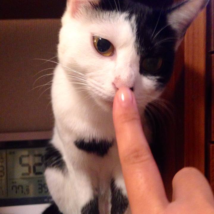 27aa85aa f955 43cb b000 7890ecfc9245