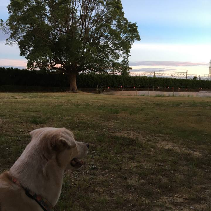 27ab8650 c141 4914 a9e4 cadc5533fd16