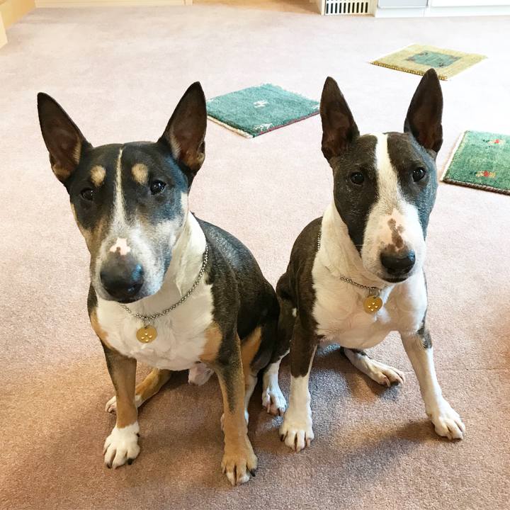 27ab9aba 686f 44ab a792 cb323a39d14d