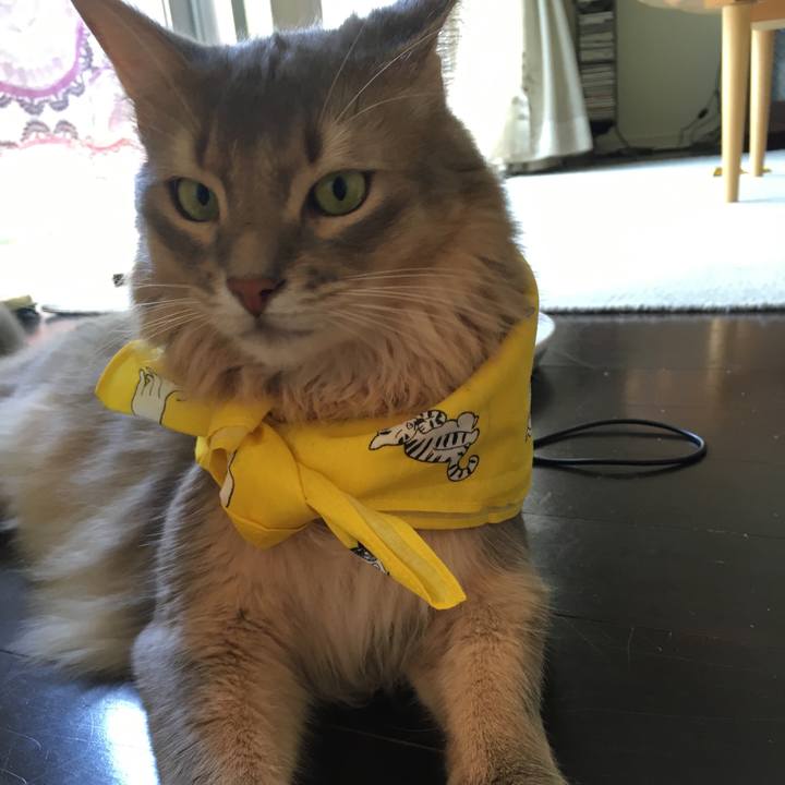 27ac0289 e56c 4bd1 876f 1d6fa4b55864