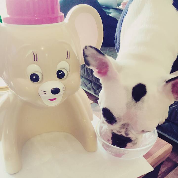 27adc5ec 94e6 4d94 834d 0cdc8c8115a0