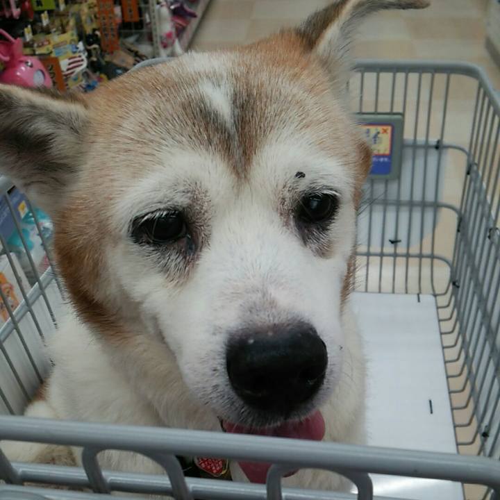 27af1f34 2f56 42f9 9fa2 bc49a9c95638