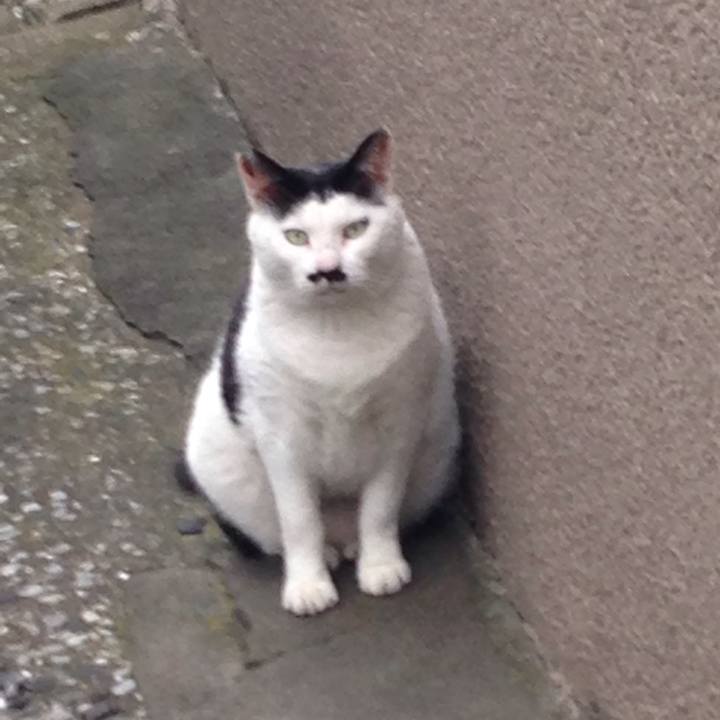 27af3f81 cb1e 4765 a6f9 f4ac8e4f3d3a