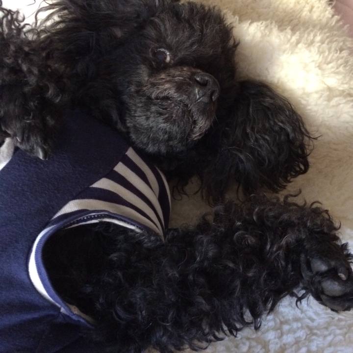 27af52bc 7311 46fa 8ada fd82e322733d