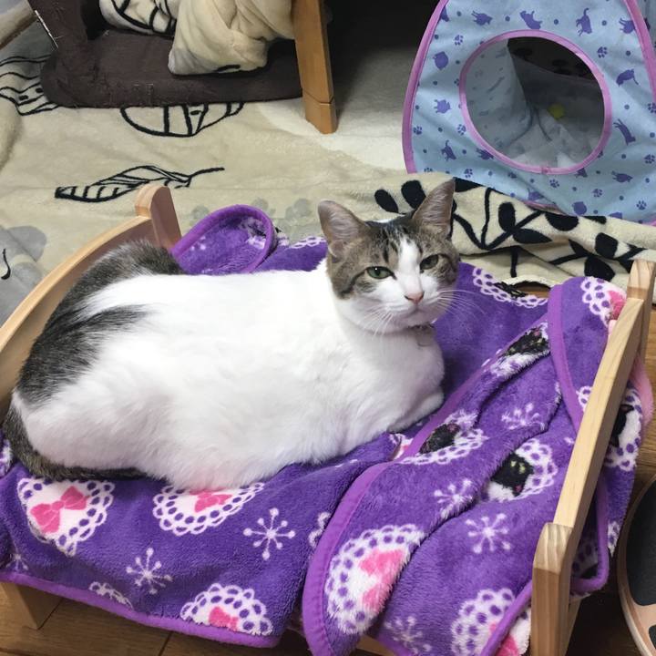 27af9a8e 0fa7 4cae af27 510e3e09ae85