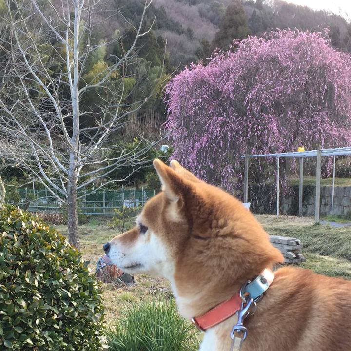 27b00cd2 3b3e 4157 9148 6d765d60ba7b