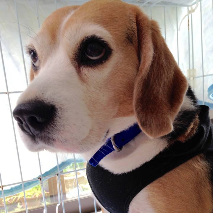 27b0294b 8d2d 4a4f 918b 10c973b1b0c2