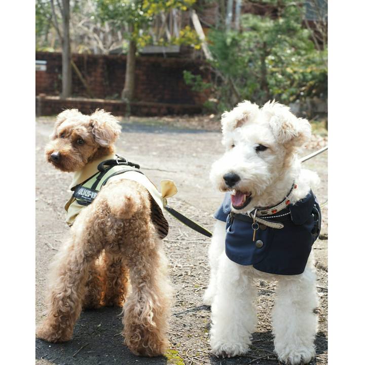 27b0cf6e 9774 42cd 8e39 10ca7f771135