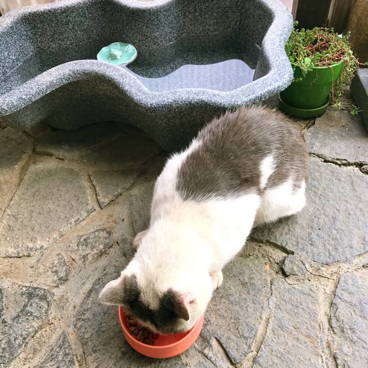 27b0cfc9 d033 4646 8683 64e6d4bae3a7