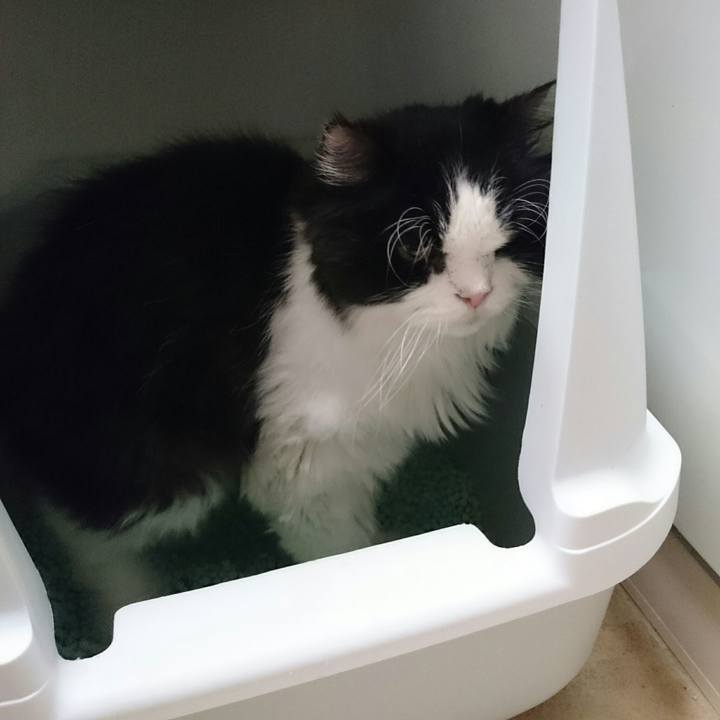 27b13080 c525 4487 a510 38ee3ed17393