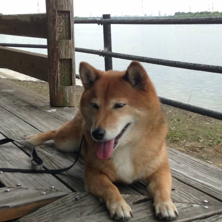 27b2320a 55da 49d2 8b5d 46ec381a9ad1