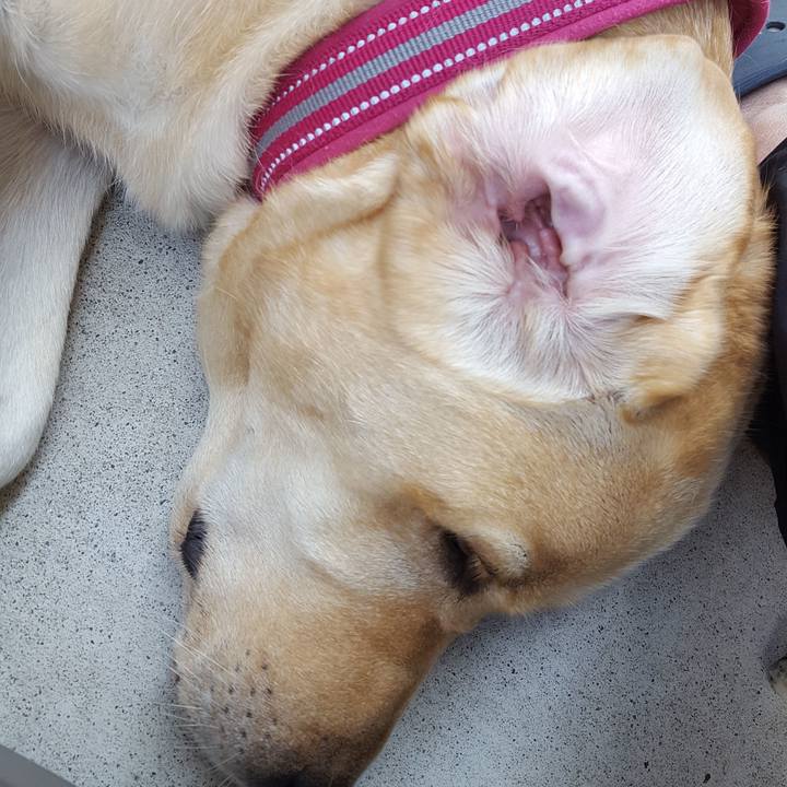 27b2743c 687c 4827 9e1e fdd1169b791c