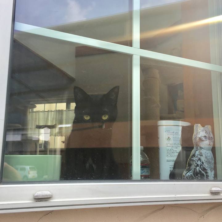 27b2a59a 9dd0 4382 b361 27ffc48b5b9e