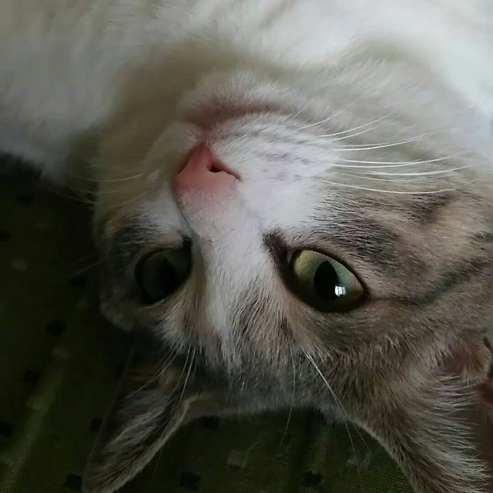 27b2b2a0 b336 47e3 b14a 3b3a4e51b549