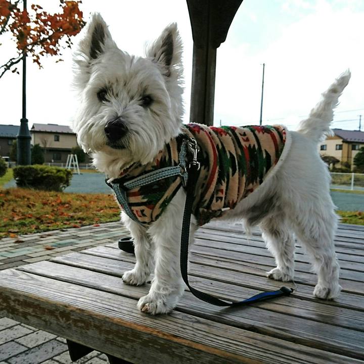 27b2c227 3696 4db9 be39 f3dbbd6fd389