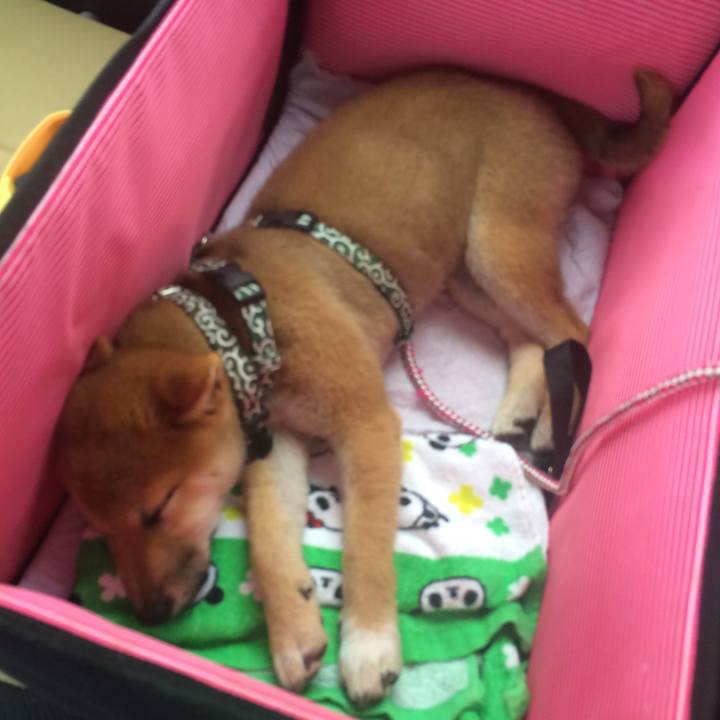 27b2f77d eed6 4109 b021 ea8c6e1444b7