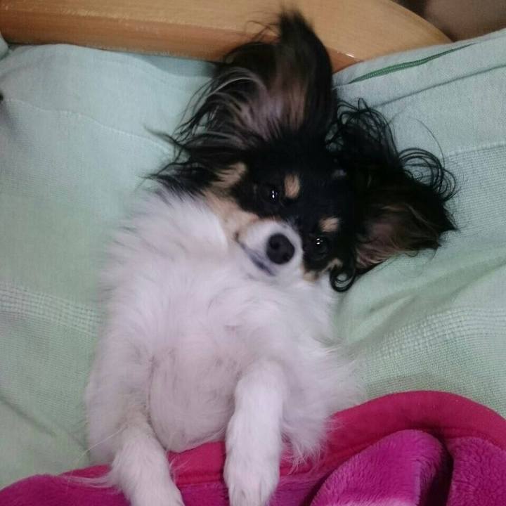 27b35e8d 725c 4d4a 906e 506bbefeb8ef