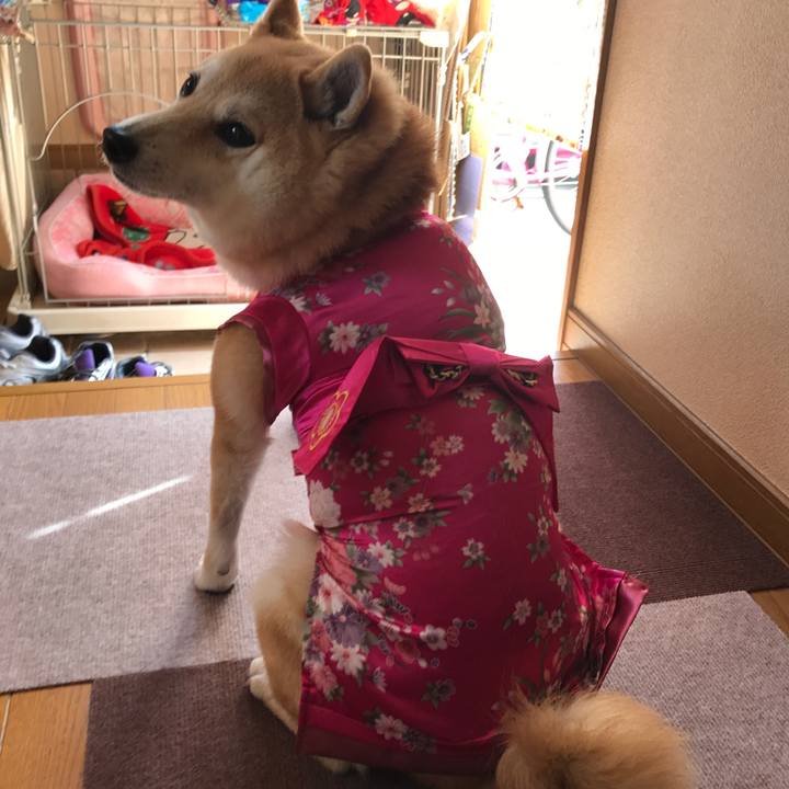 27b3b3ac 7daa 41ff 861f 19efd7b2abe7