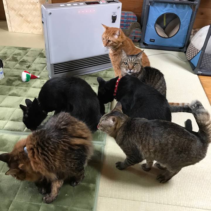 27b46213 21dc 4ee2 95a3 22fbe941560c